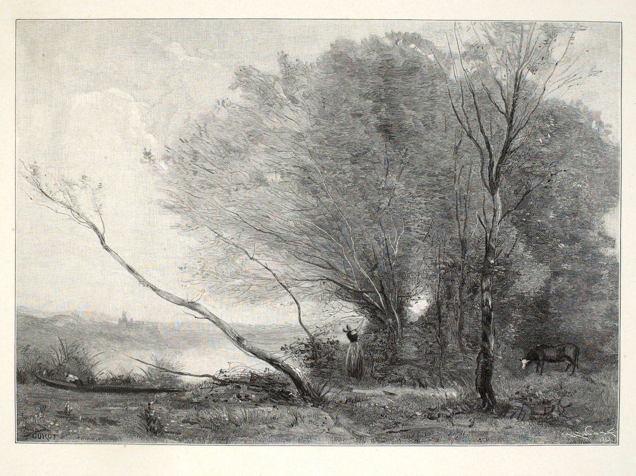 Der gebogene Baum von Henry Wolf