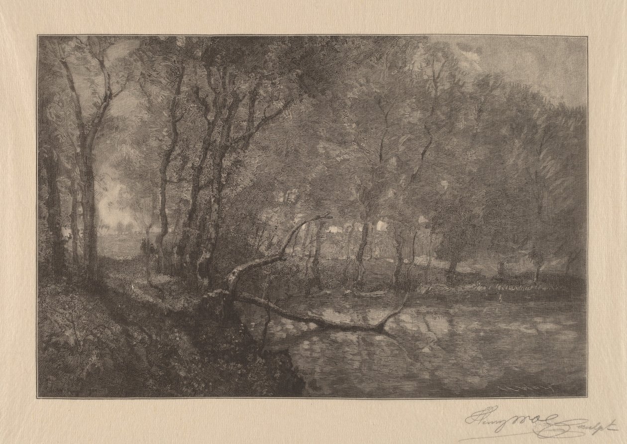 Der Mühlenteich von Henry Wolf