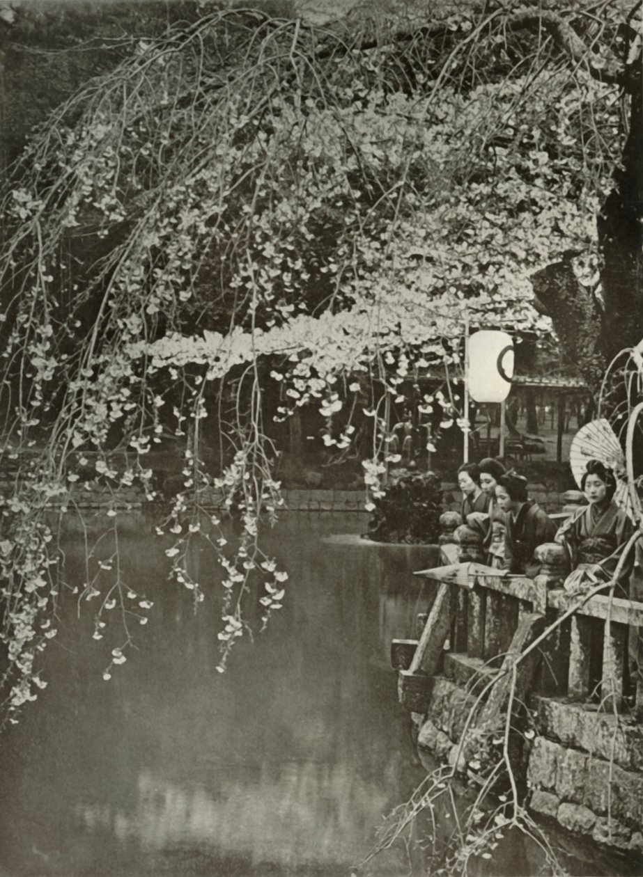 Kirschblütenzeit in Japan, 1910 von Herbert Ponting