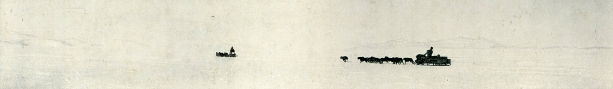 Hunde galoppieren auf die Barriere zu, um 1911, 1913 von Herbert Ponting