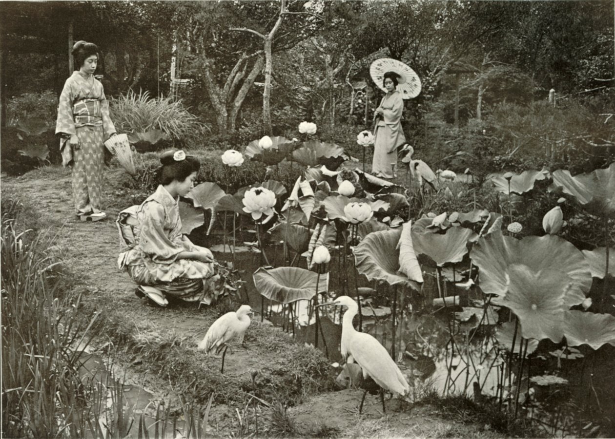 Im Lotus-Land, 1910 von Herbert Ponting