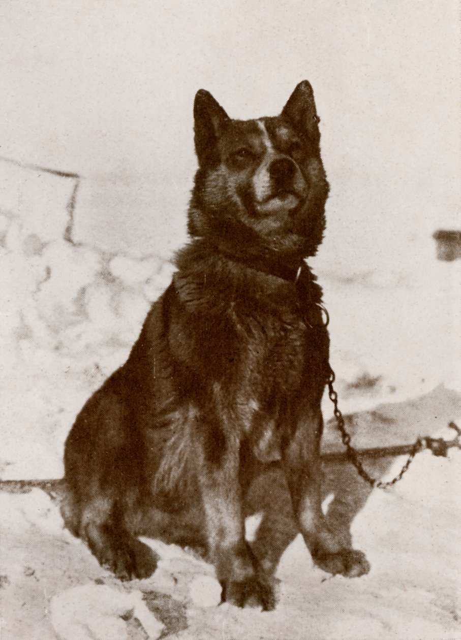 Krisravitsa, ca. 1910-1913, 1913 von Herbert Ponting