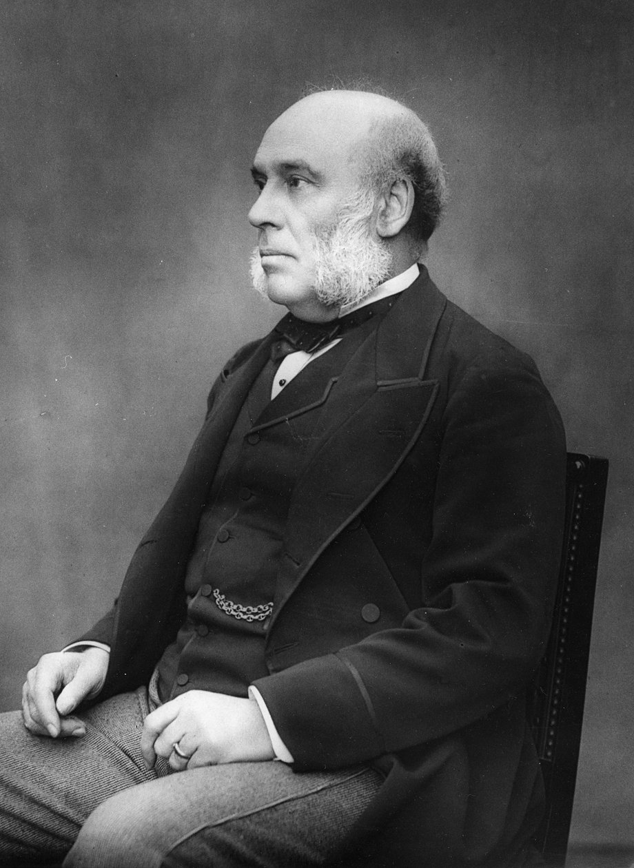 W. H. Smith, 1880 von Herbert Rose Barraud