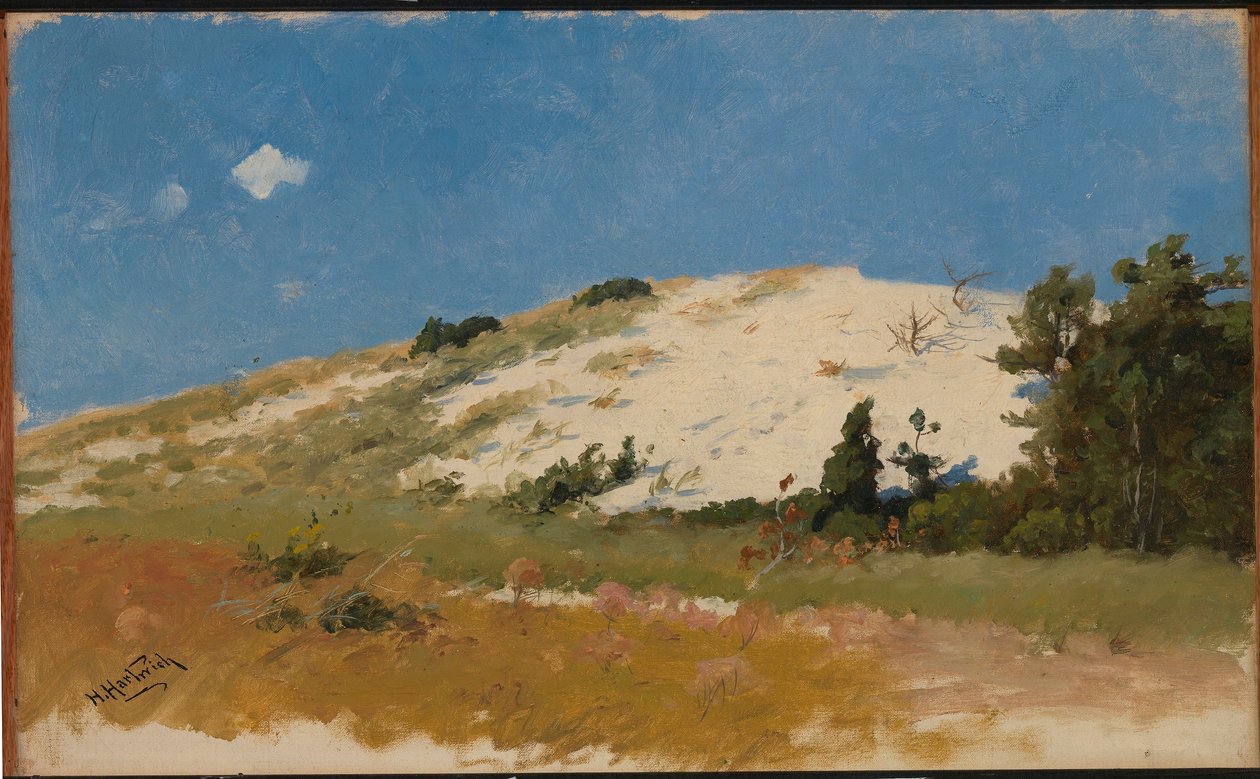 Cape Cod, Sanddüne von Herman Hartwich