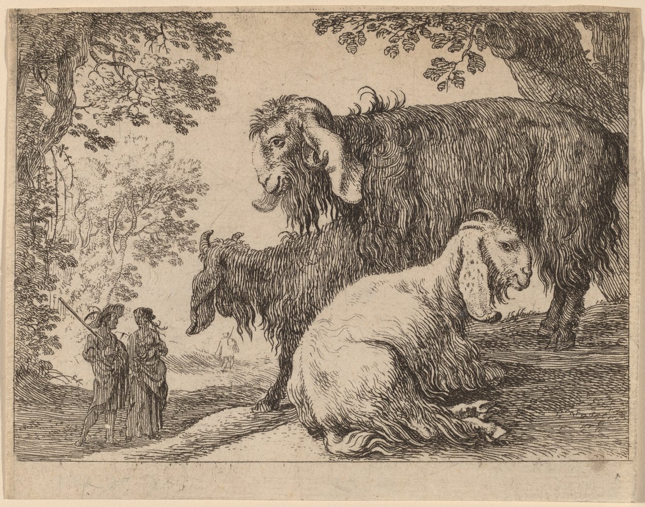Angoraziege von Herman van Swanevelt