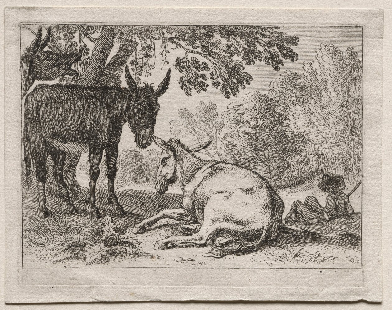 Esel von Herman van Swanevelt