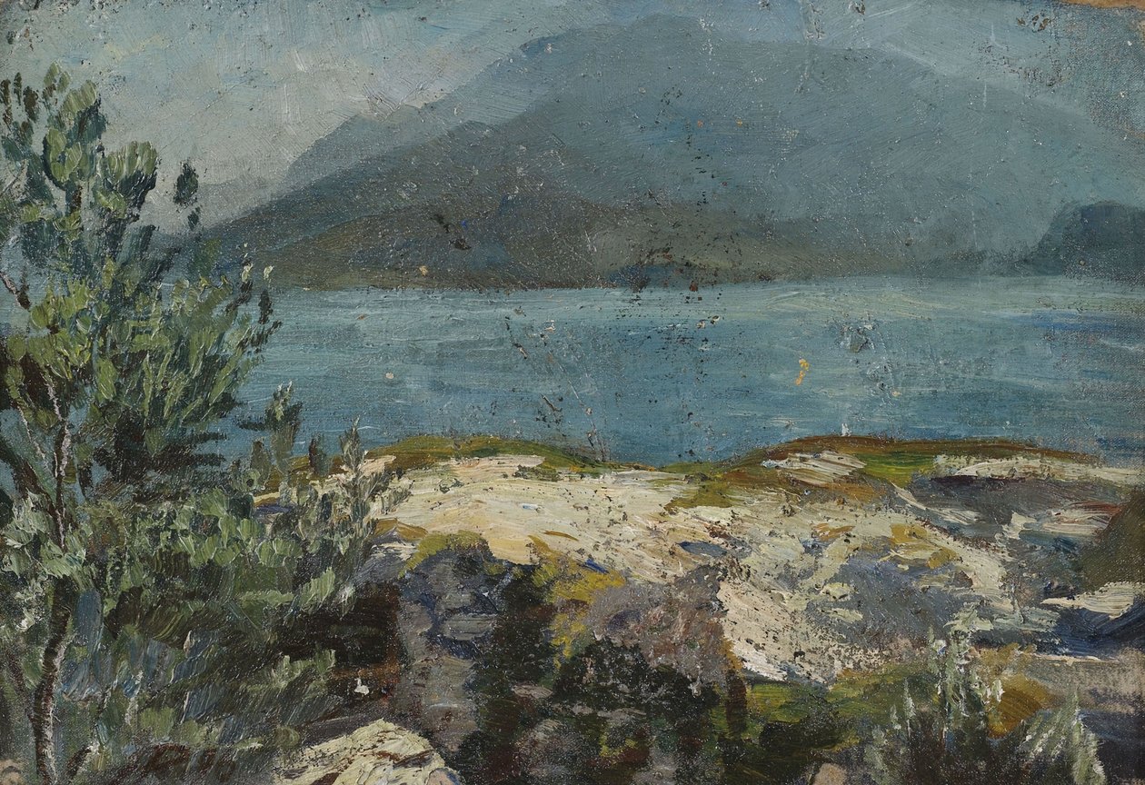 Sommerliches Seeufer von Hermann Pleuer