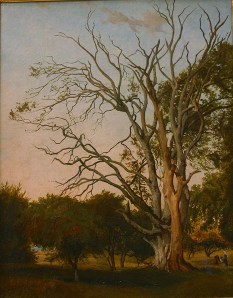 Waldszene mit einem toten Baum von Hermann Carmiencke