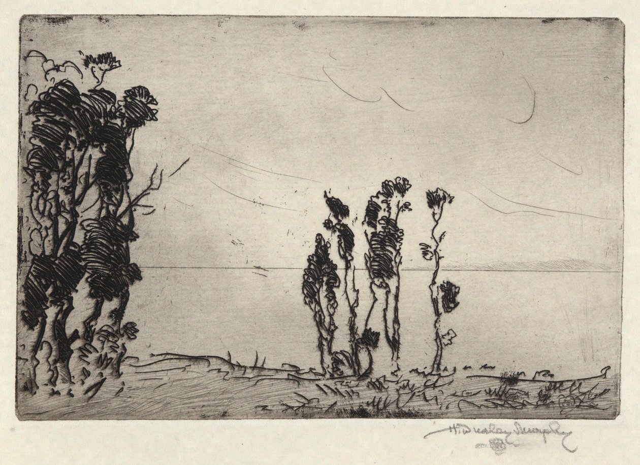 Küstenlandschaft von Hermann Dudley Murphy