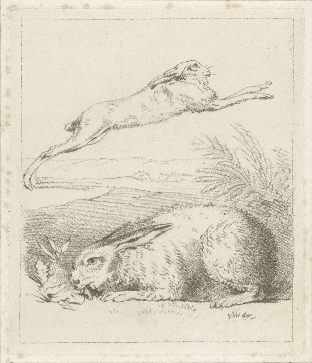 Hase und Kaninchen von Hermanus Numan