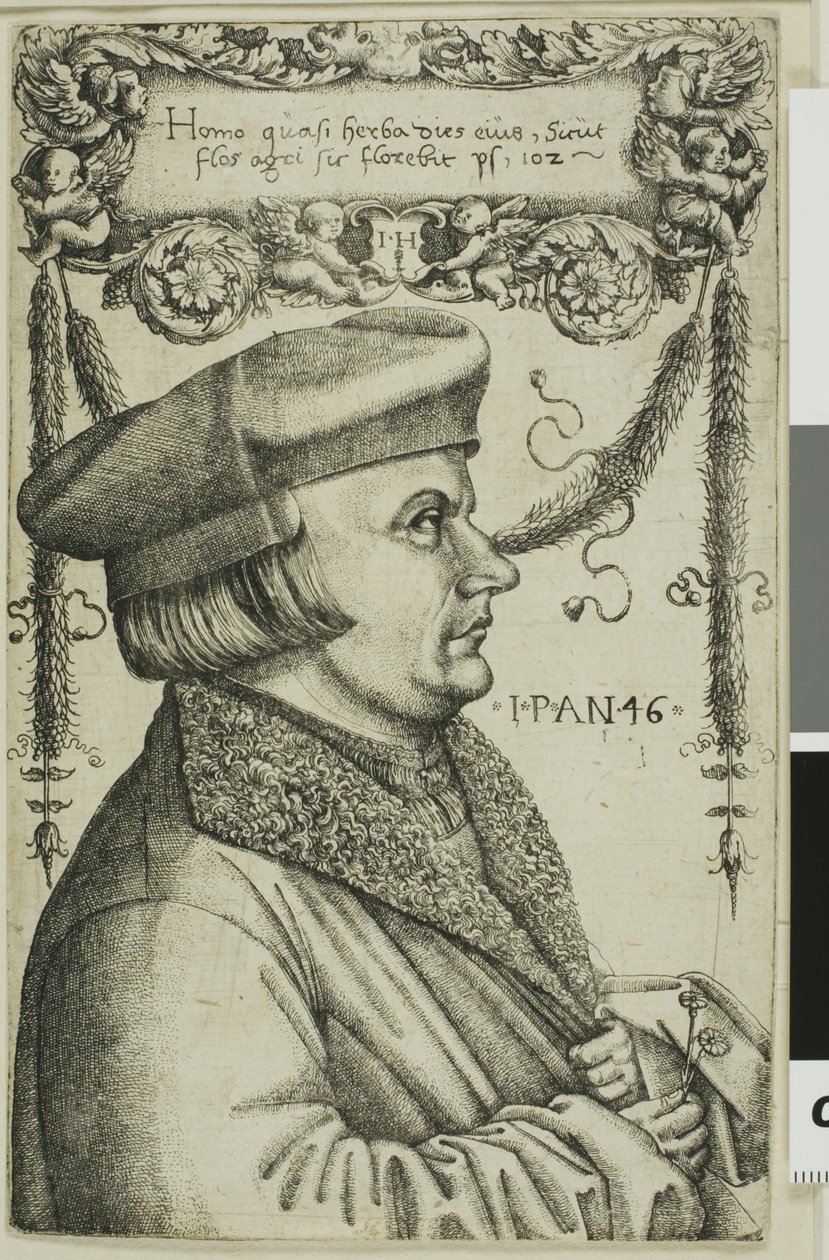 Porträt eines Mannes von Hieronymous Hopfer