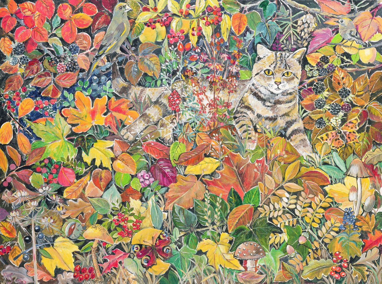 Getigerte Katze im Herbst, 1996 von Hilary Jones