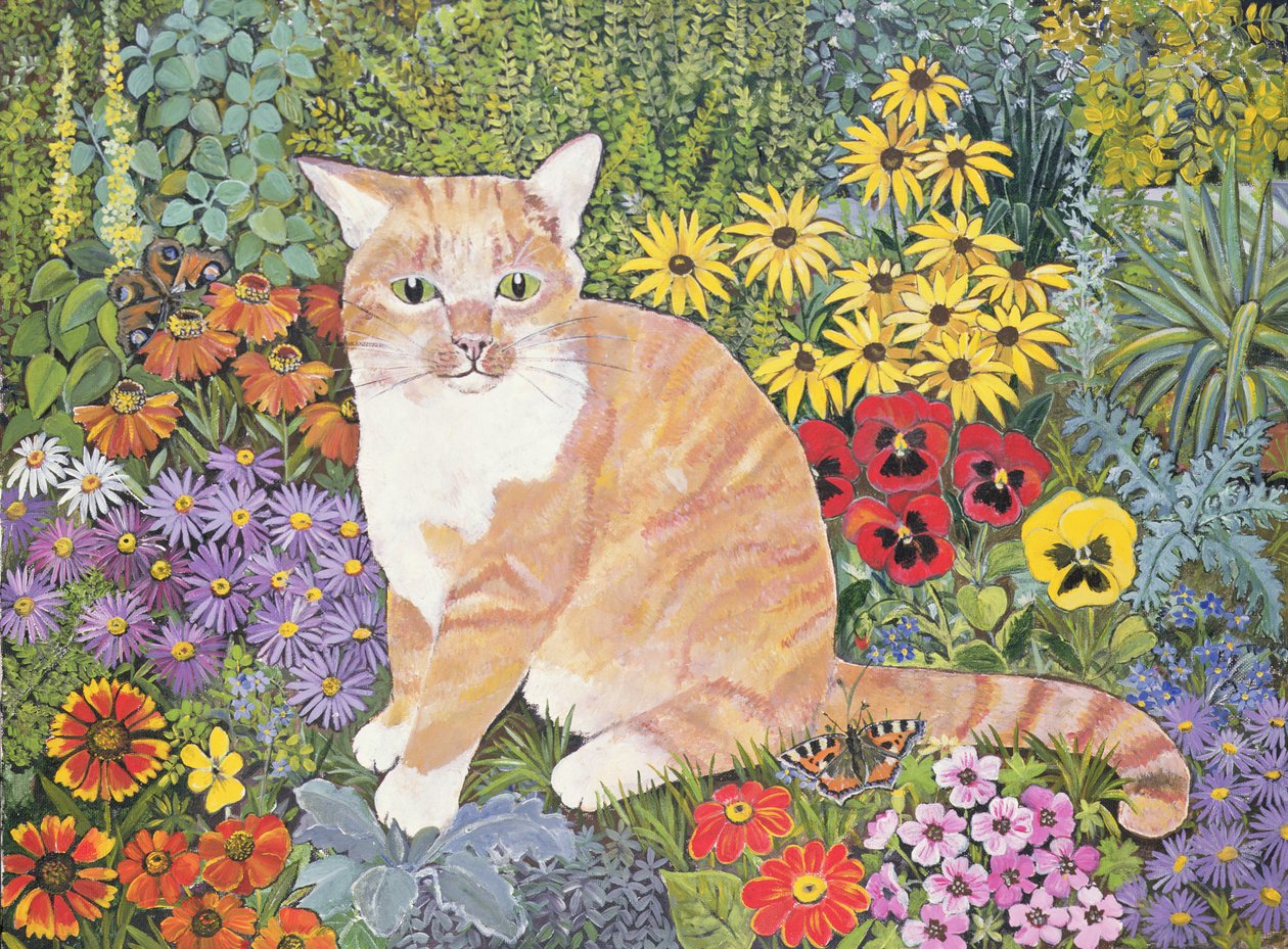 Die Katze des Zimmermanns von Hilary Jones