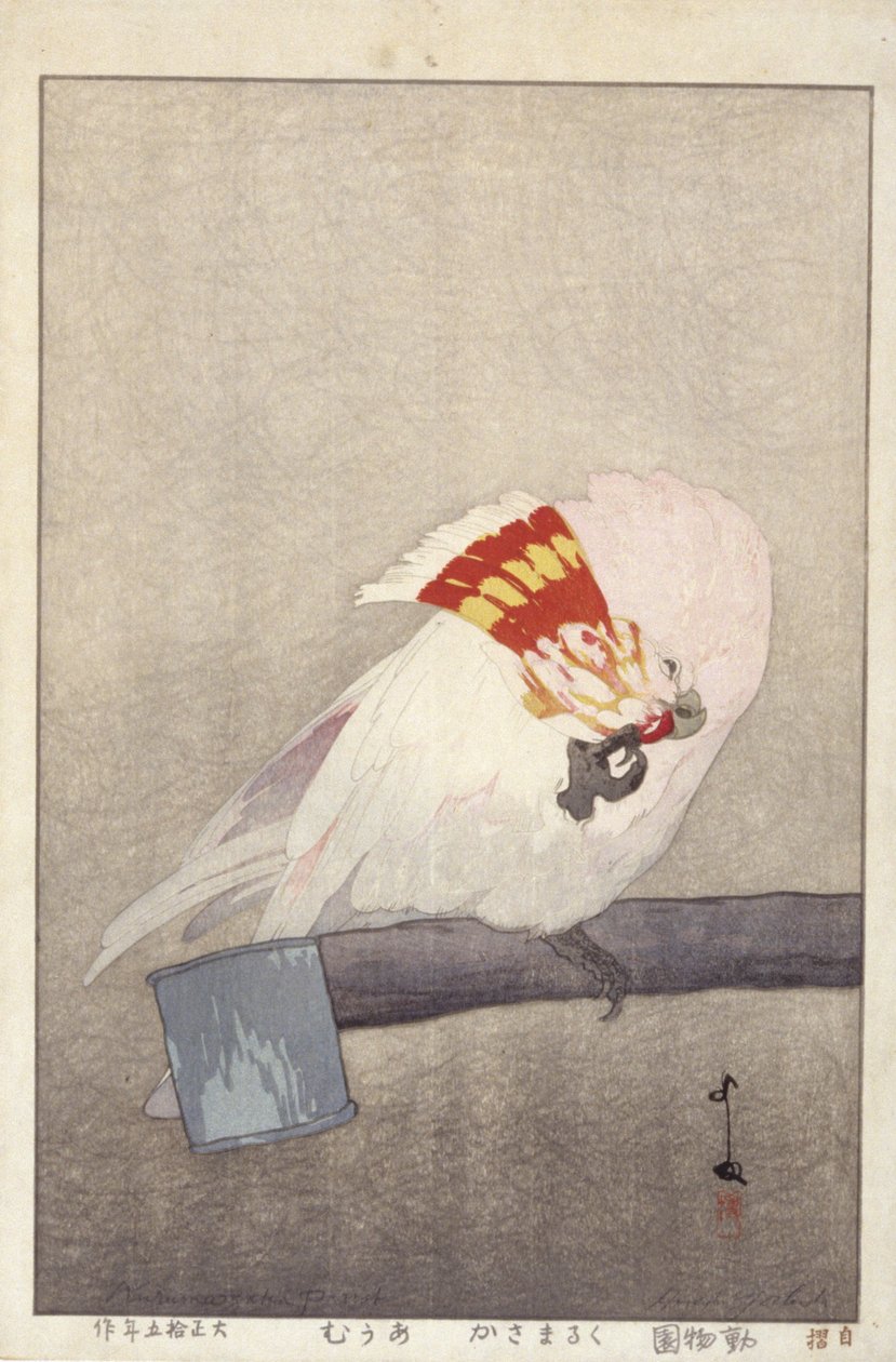 Kakadu am Futterspender von Hiroshi Yoshida