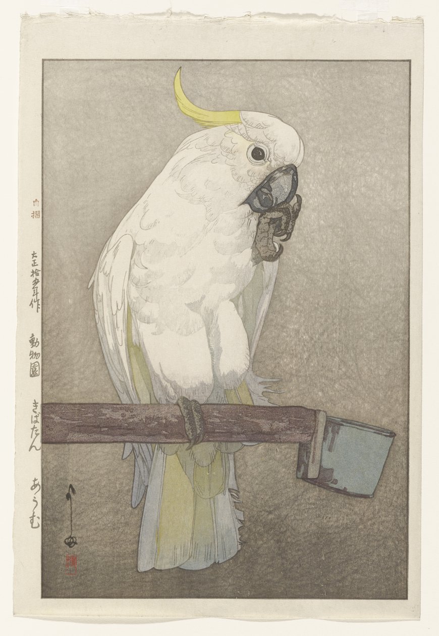 Gelbhaubenkakadu von Hiroshi Yoshida