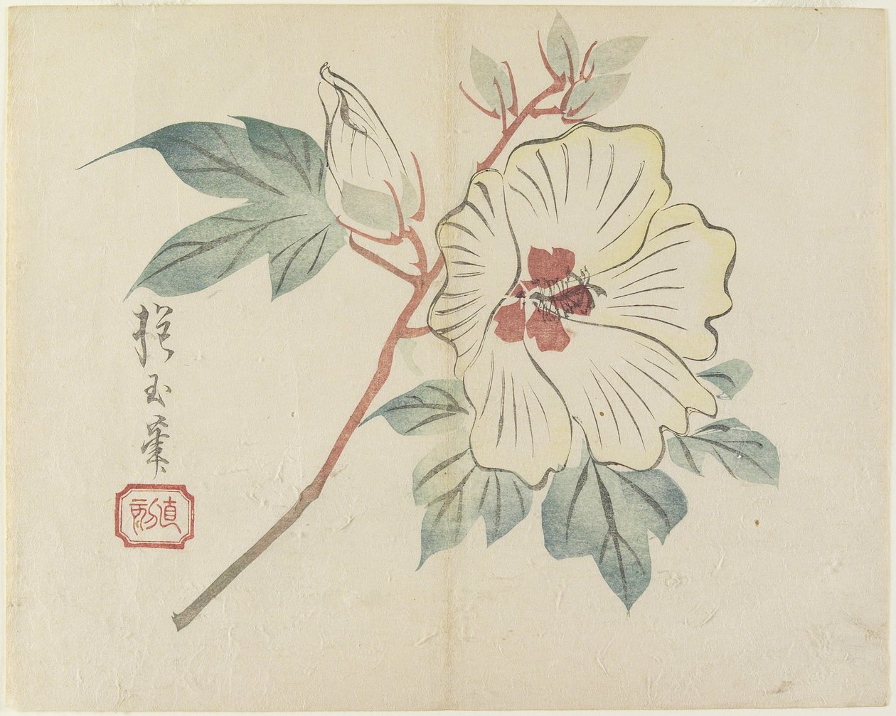 Große weiße Blume, ca. 1830 von Hogyoku