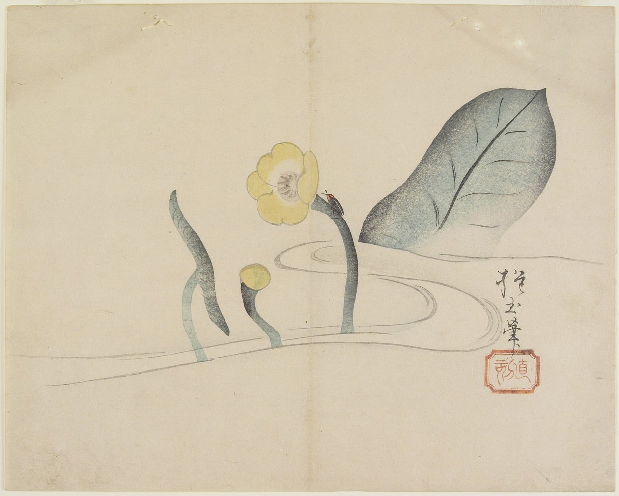 (Lotus und ein Goldkäfer), ca. 1830 von Hogyoku