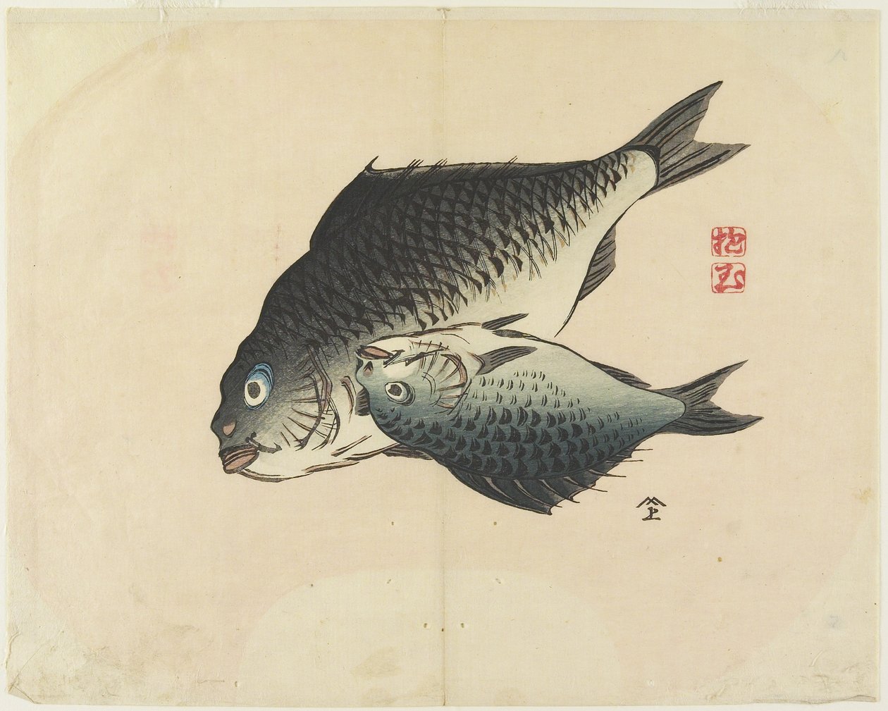 (Paar Fische) von Hogyoku