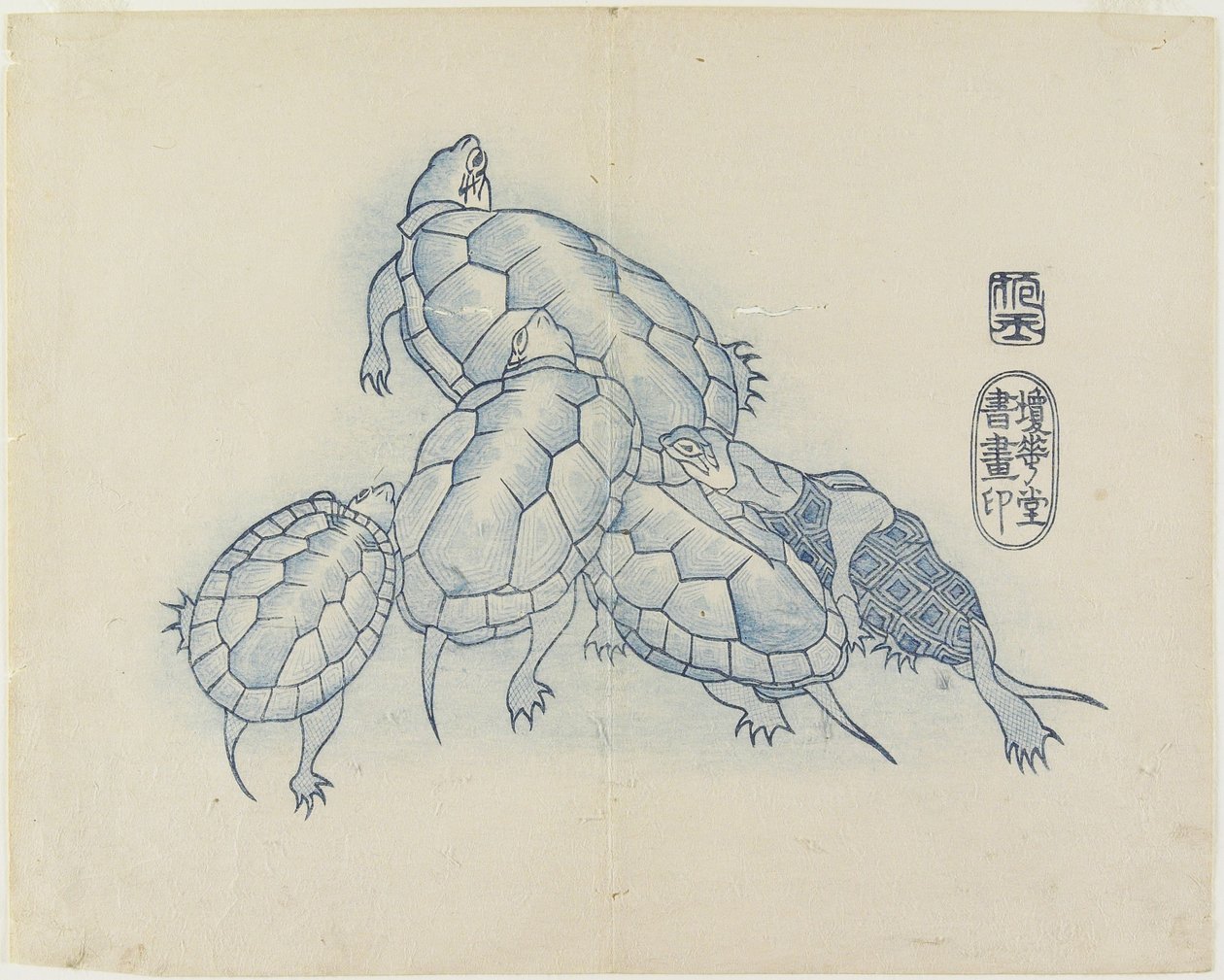 (Schildkröten), ca. 1830 von Hogyoku
