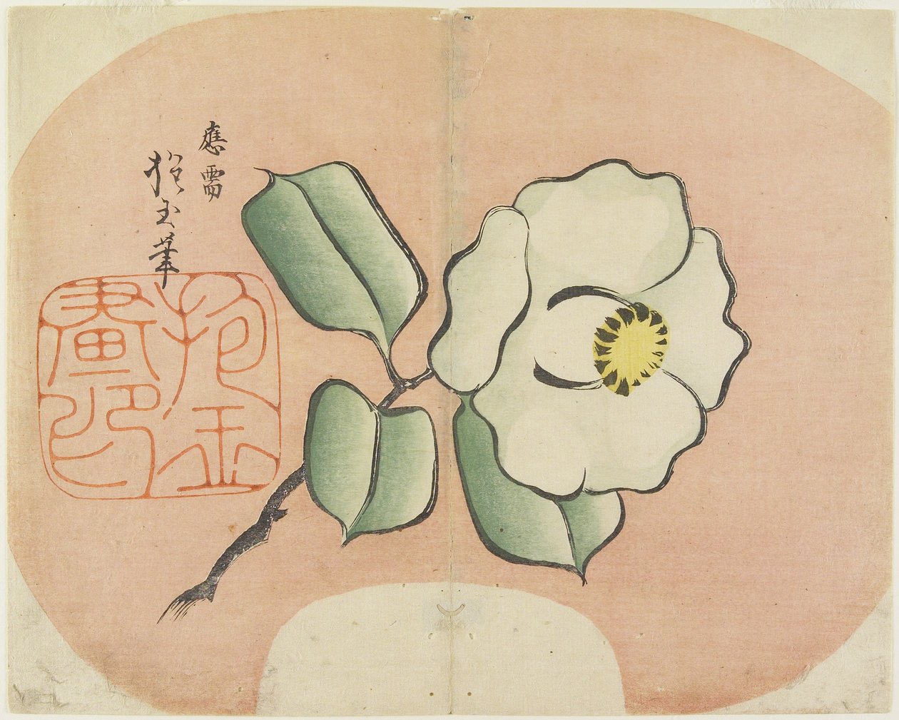 Weiße Kamelie von Hogyoku