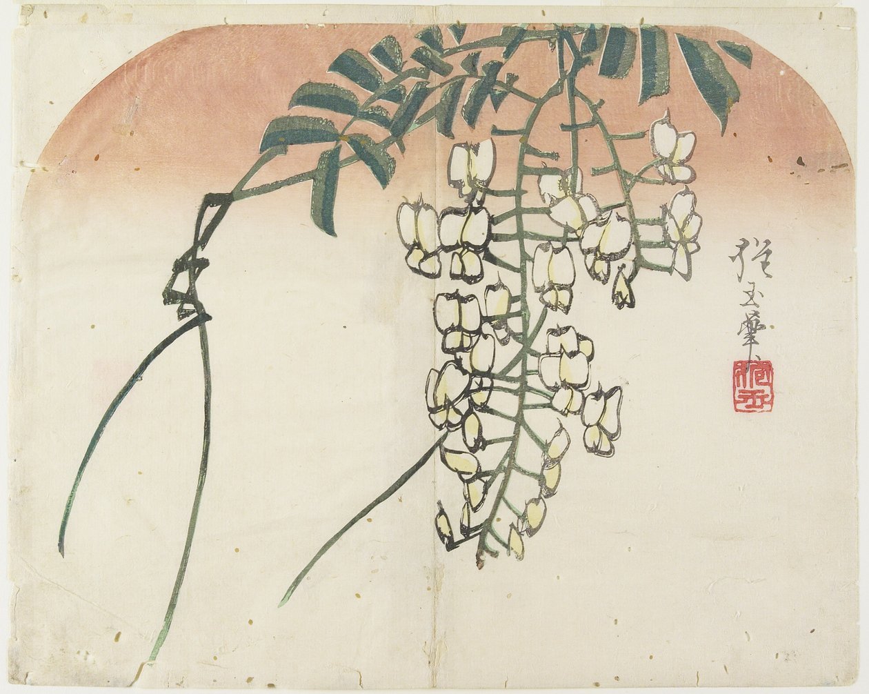 (Weiße Glyzinie), ca. 1830 von Hogyoku