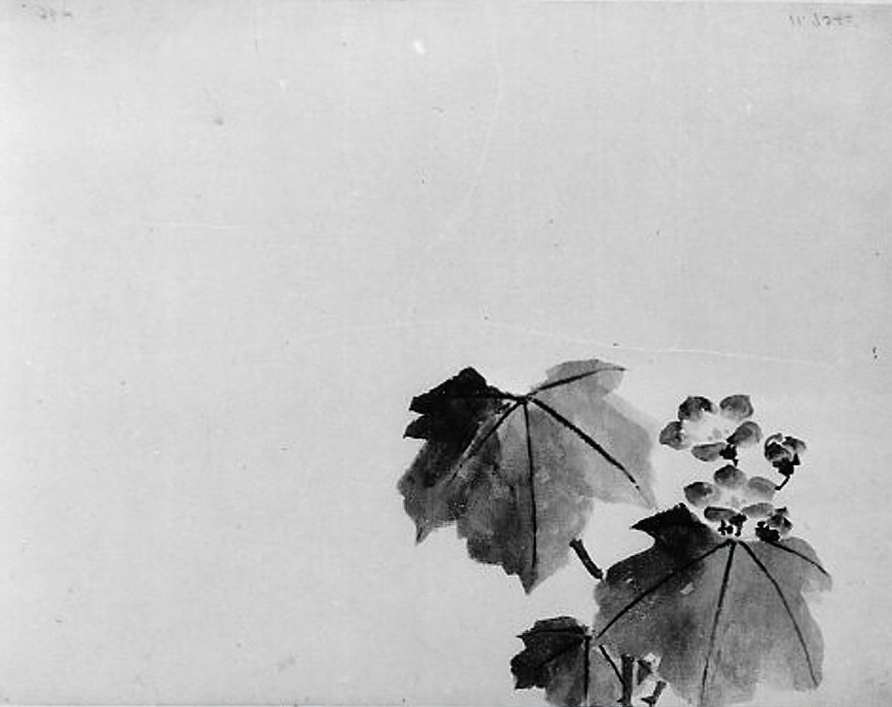 Glockenblume, 19. Jahrhundert von Hokusai School.
