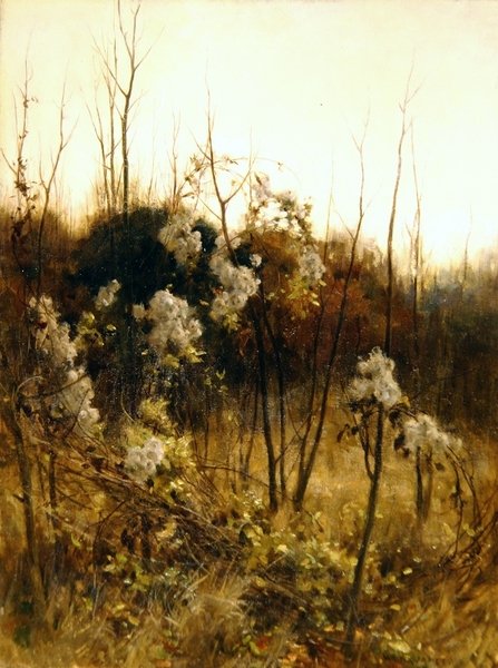 Reisefreude von Hon. Walter John James