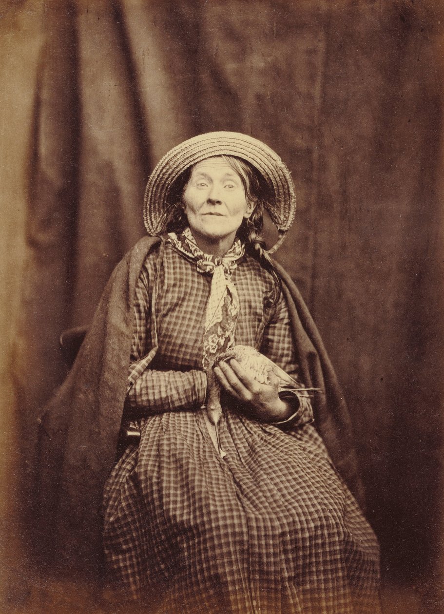 Sitzende Frau mit Vogel von Hugh Welch Diamond