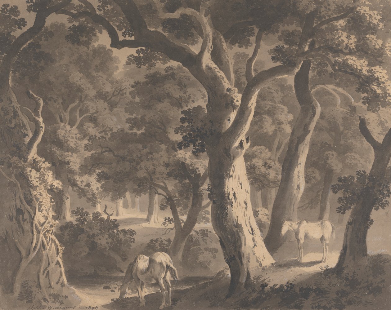 Wychwood Forest von Hugh William Grecian Williams