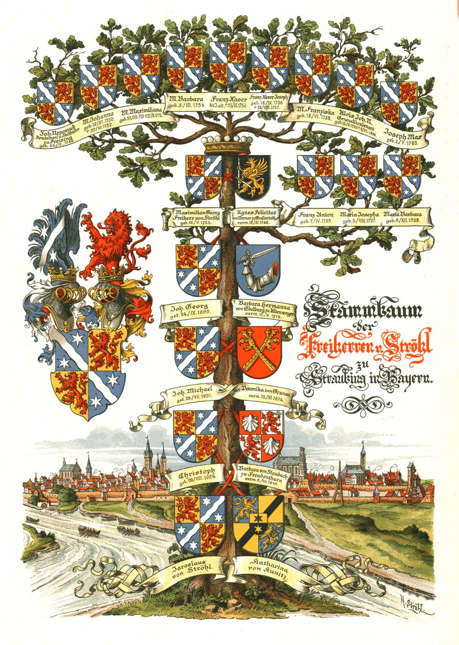 Strohl-Heraldik-Baum von Hugo Gerard Strohl