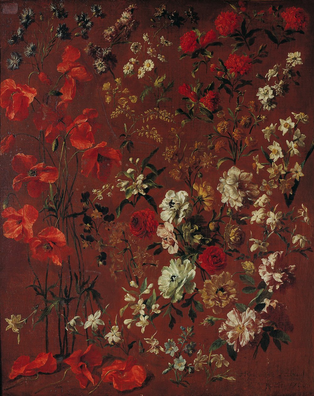 Blumenstudie, 1720 von Hyacinthe Francois Rigaud