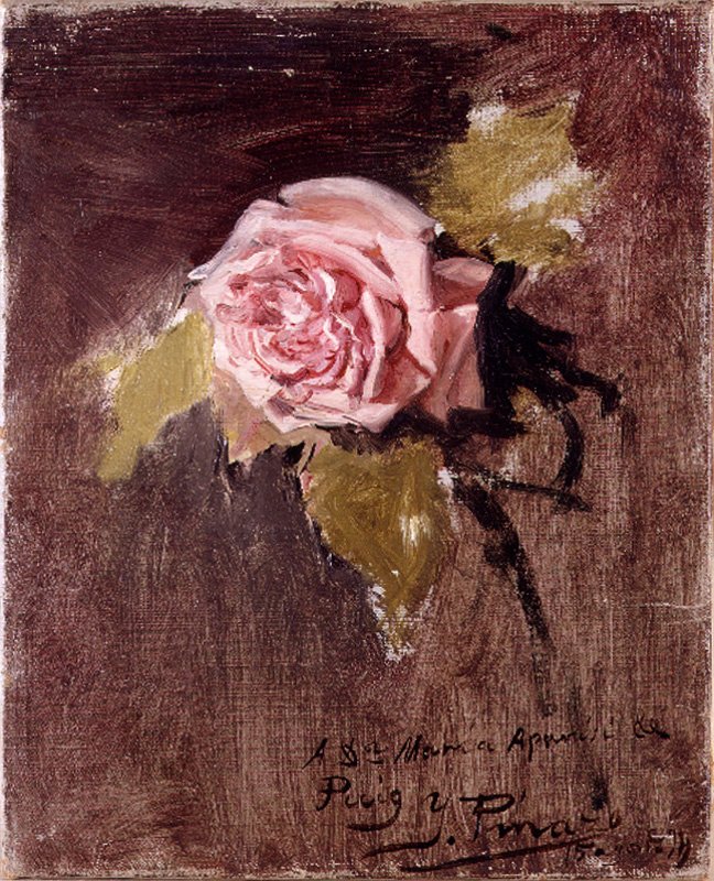 Eine Rose von Ignacio Pinazo Camarlench