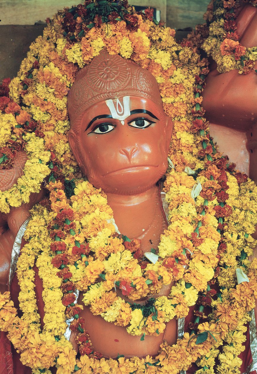 Hanuman, der Affengott von Indian School