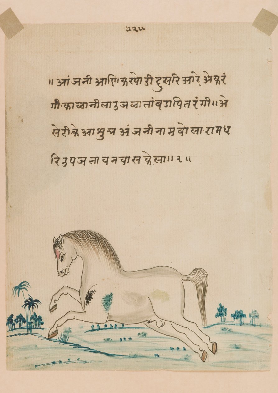 Pferd von Indian School