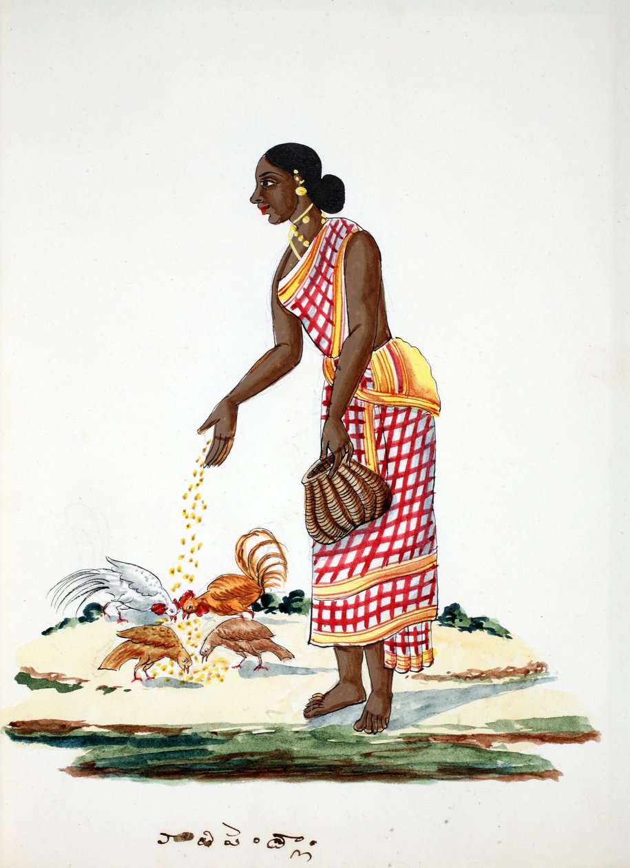 Frau füttert Hühner von Indian School
