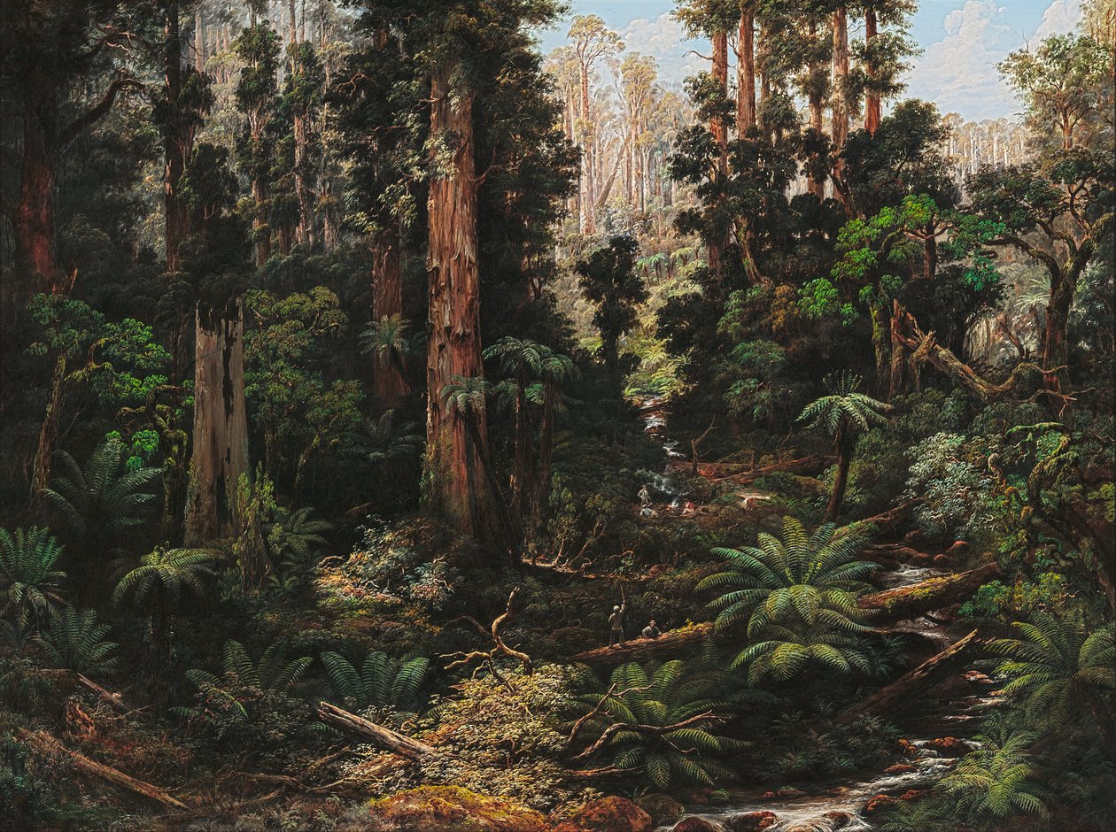 Im Sassafras-Tal, Victoria von Isaac Whitehead