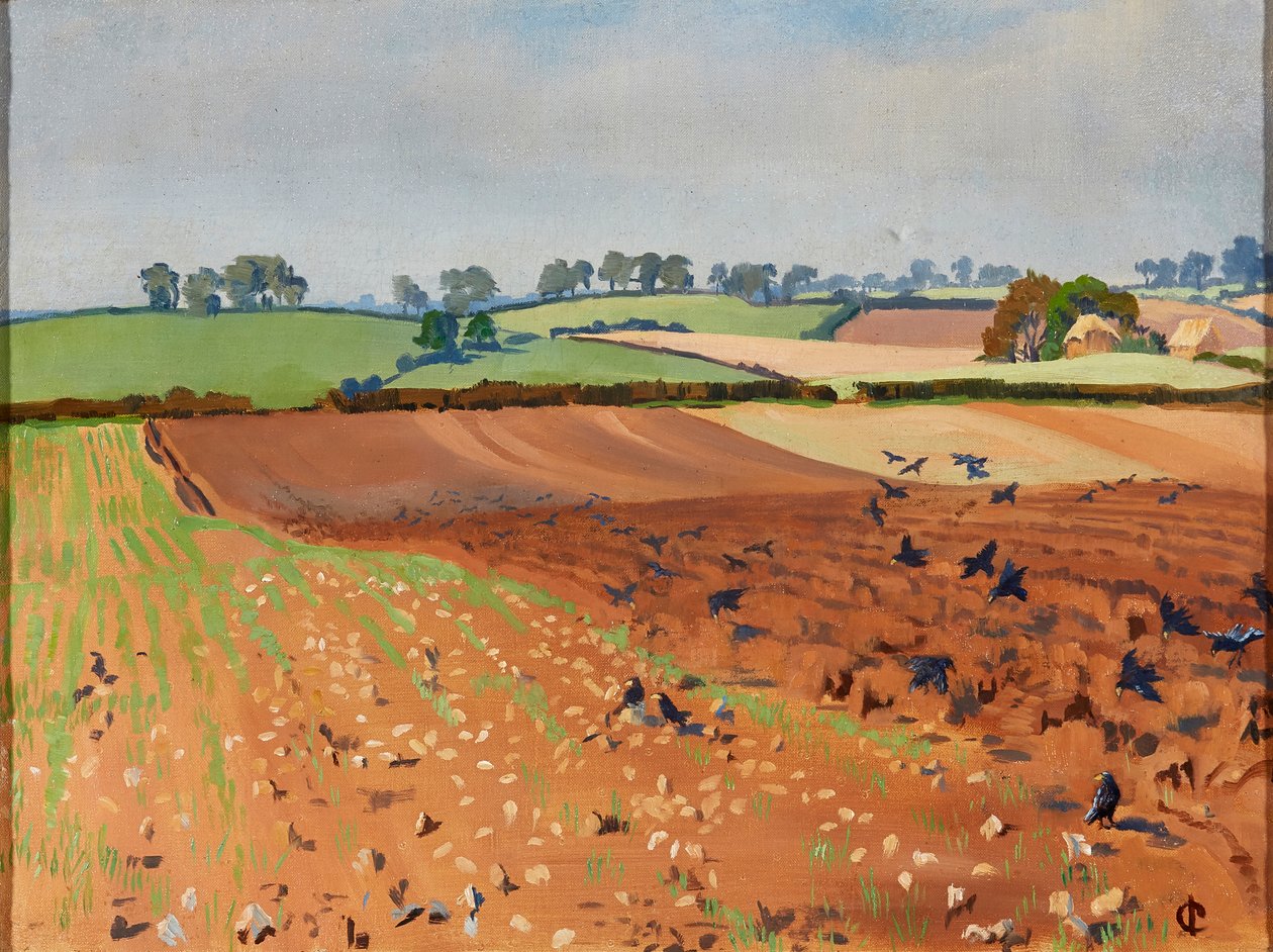 Gepflügtes Feld von Isabel Codrington
