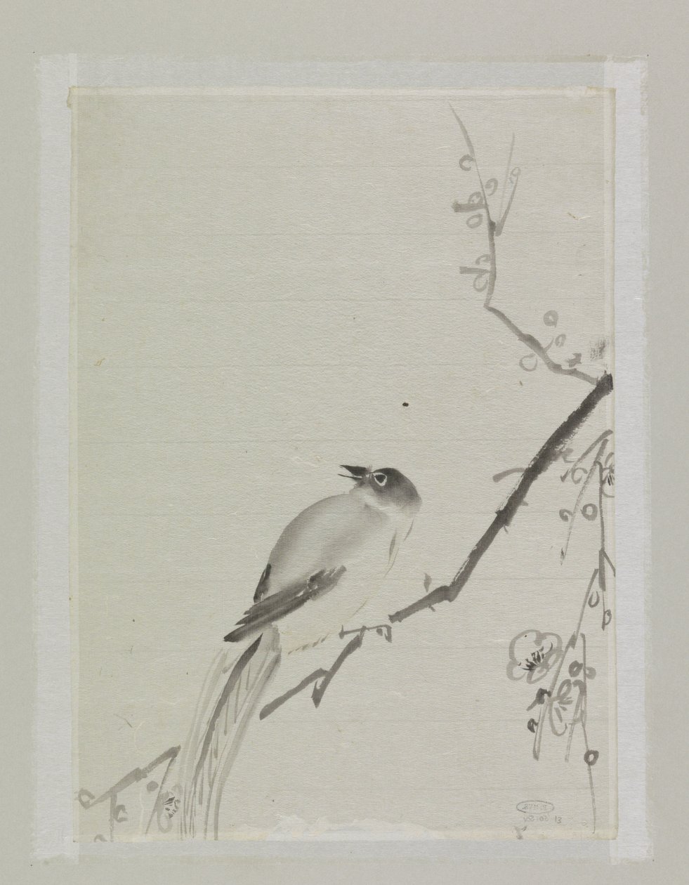 Vogel auf einem Ast eines Kirschbaums von Ishikawa Kazan