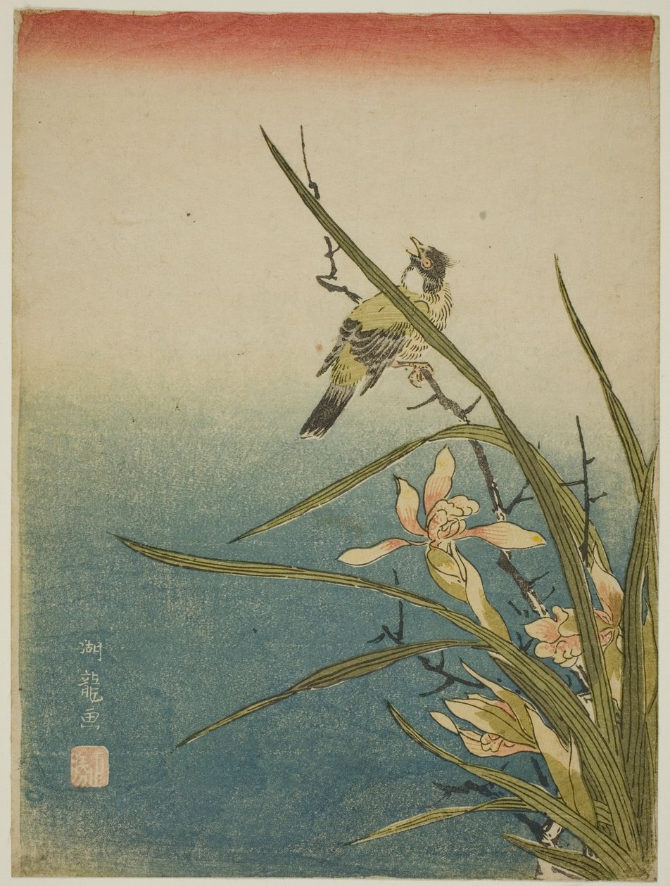 Orchidee und Vogel von Isoda Koryusai
