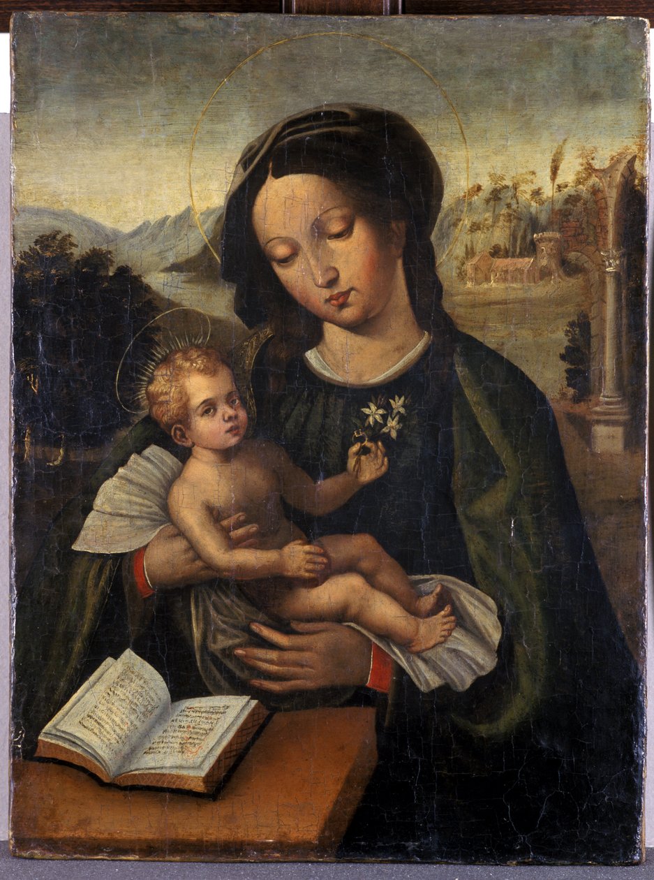 Madonna mit Kind von Italian School