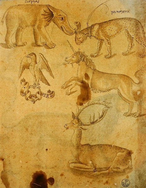 Tiere von Italian School