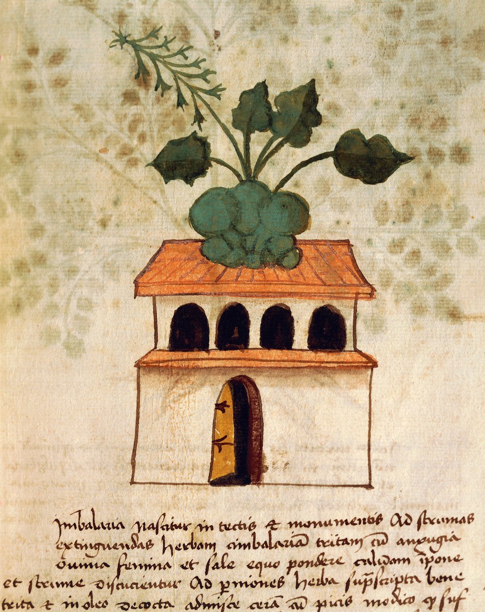 Hängender Garten von Italian School