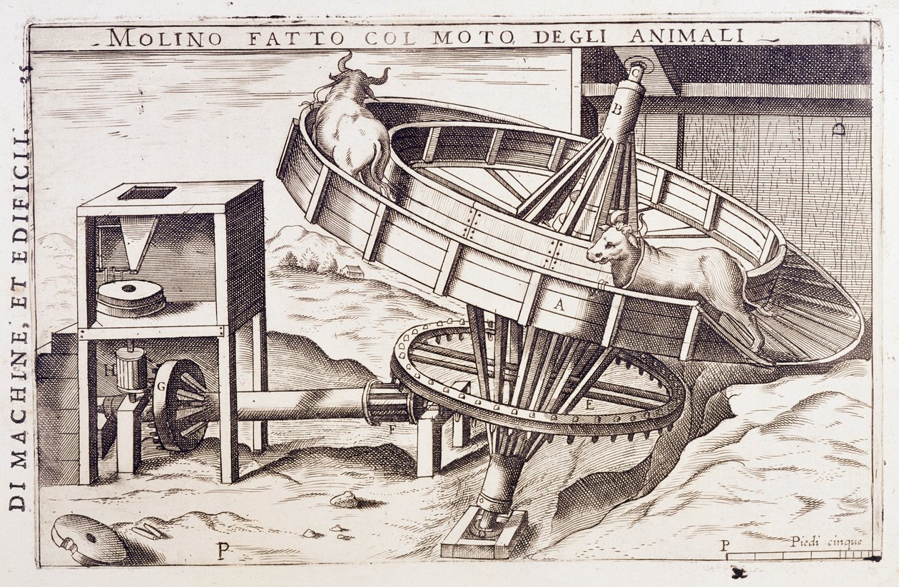 Mühle, die von Tieren angetrieben wird, Gravur Italien von Italian School