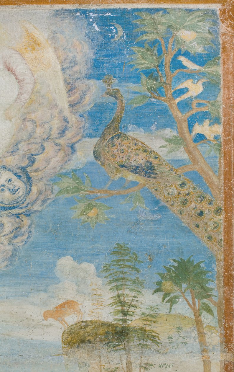 Pfau (Detail) von Italian School