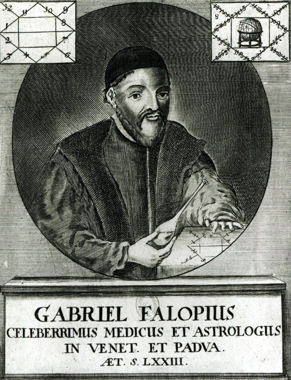 Porträt von Gabriel Fallopius von Italian School