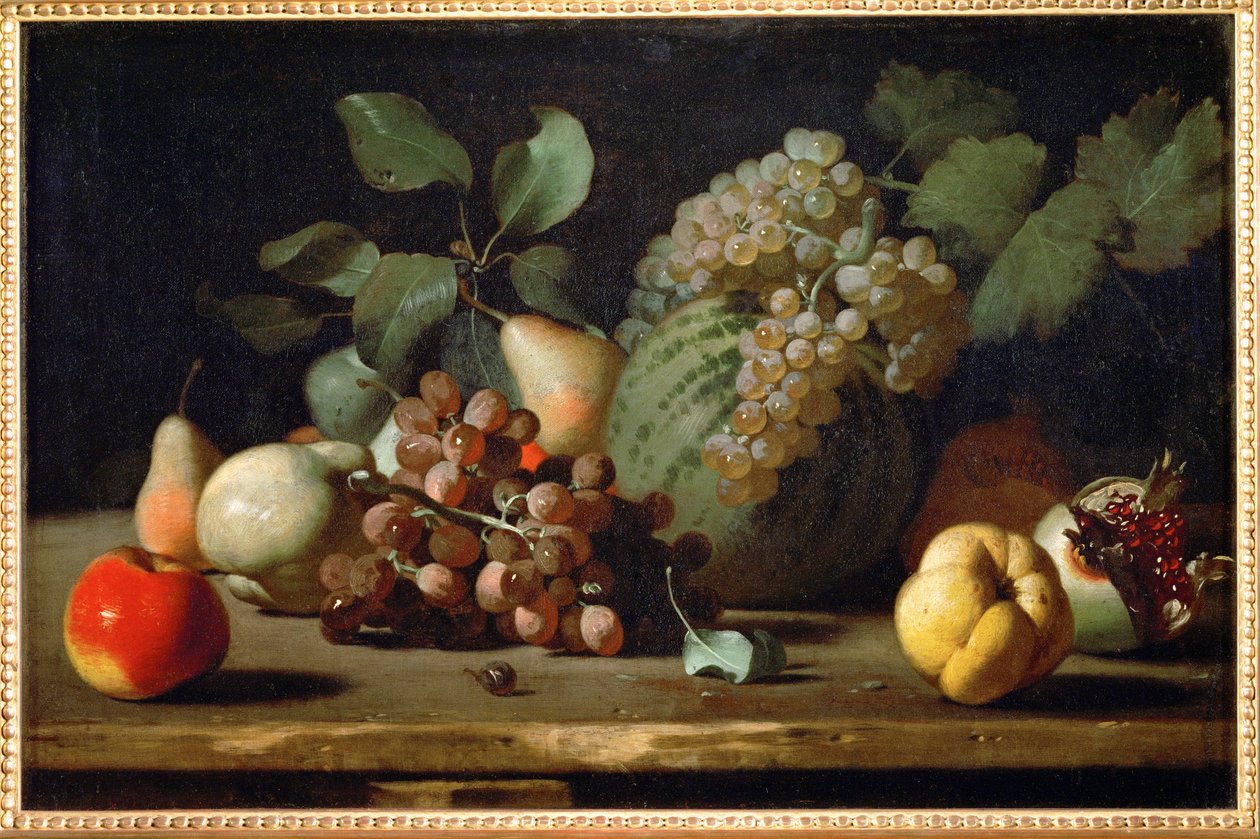 Stillleben mit Trauben und Granatapfel von Italian School