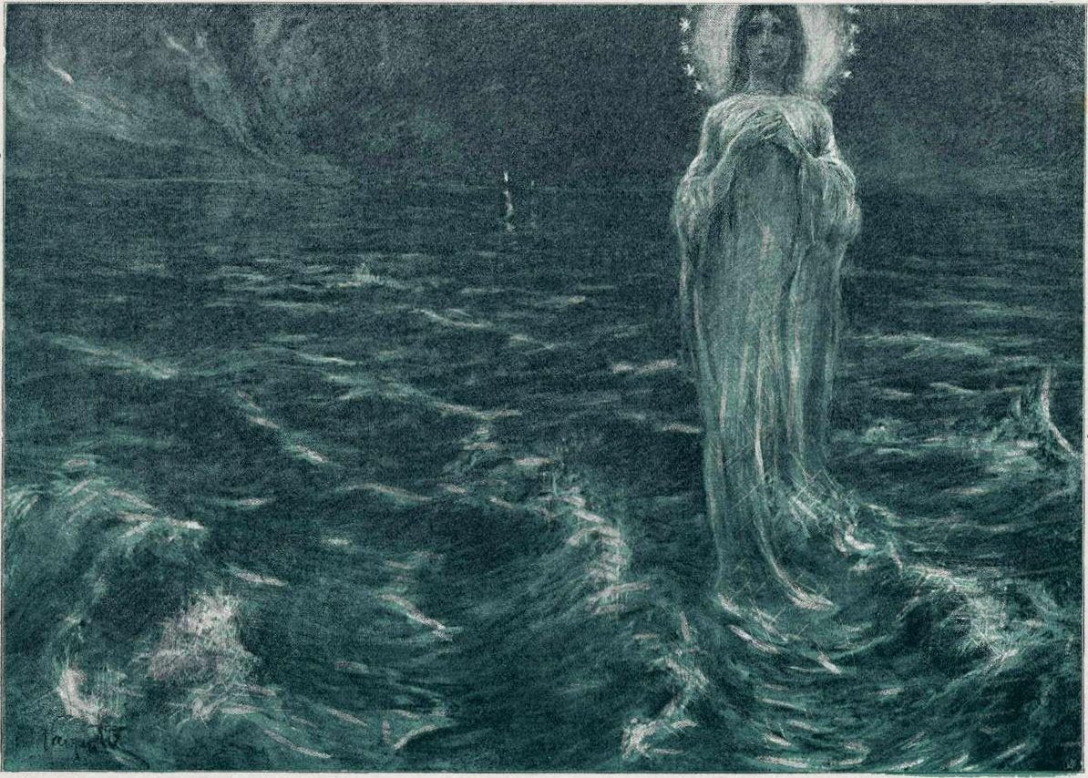 Seestern von Ivan Vavpotic