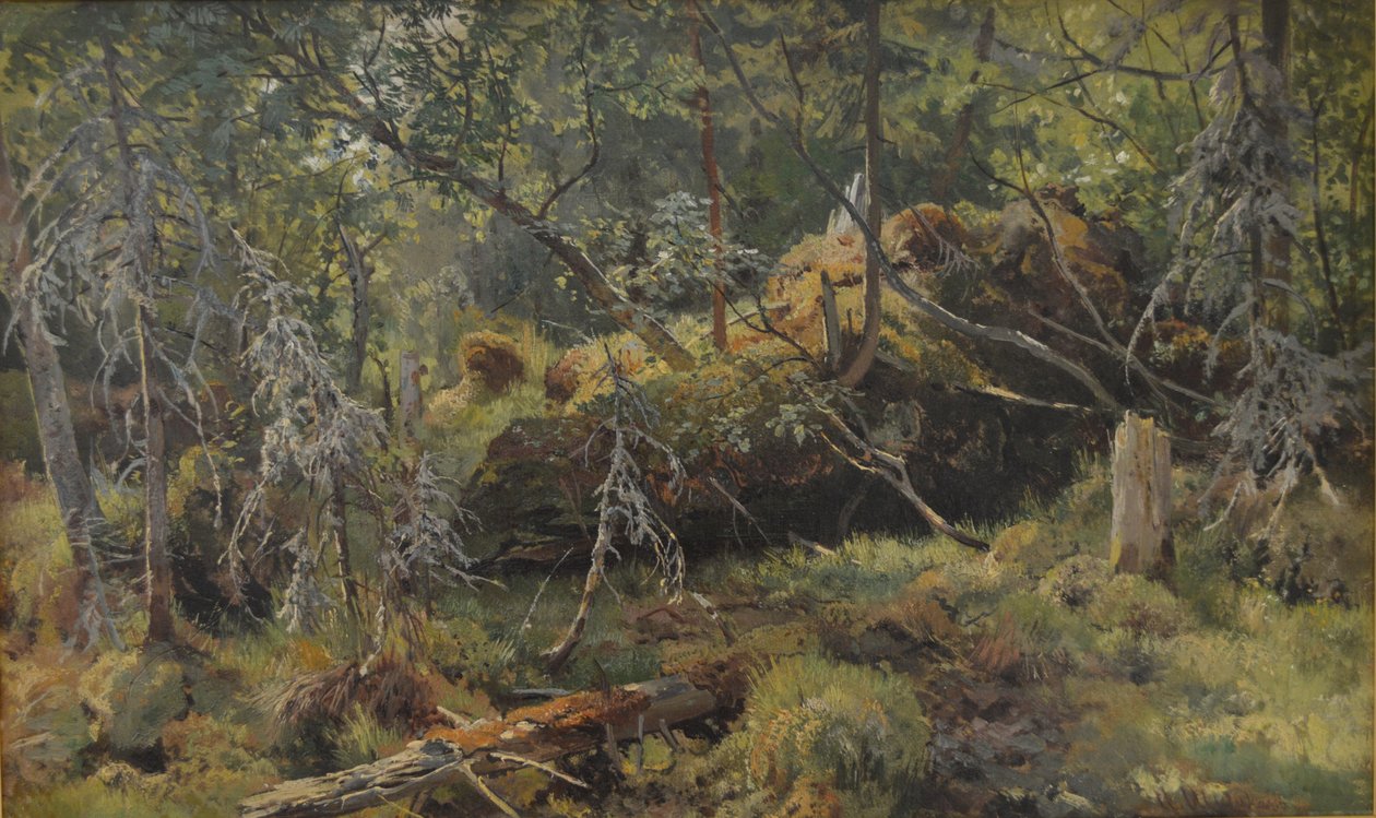 Zweige. Eine Studie von Ivan Ivanovich Shishkin