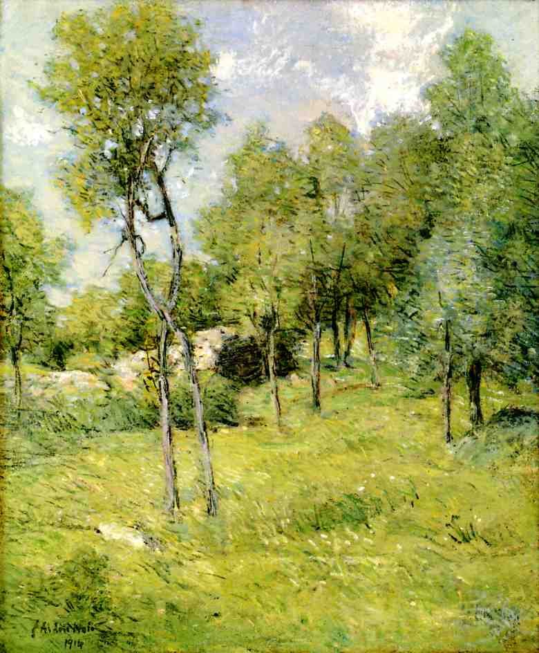 Mittsommerlandschaft von J. Alden Weir