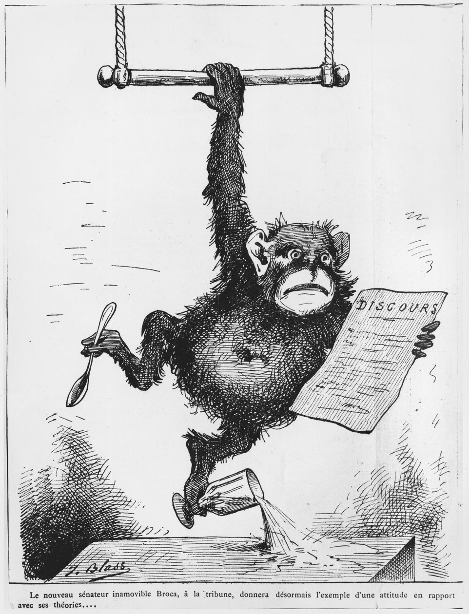 Karikatur von Paul Broca, Illustration aus 
